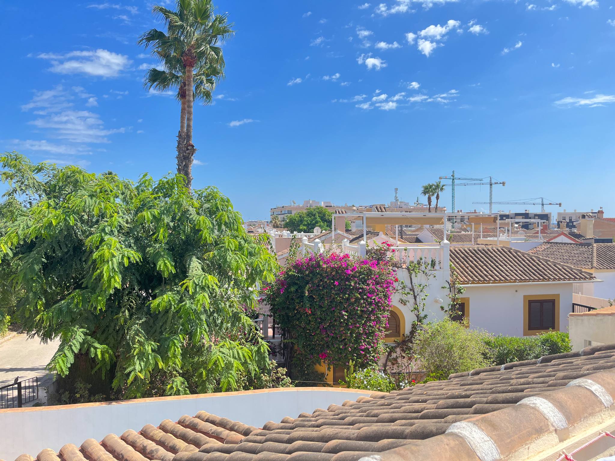 Villa Limon Exterior